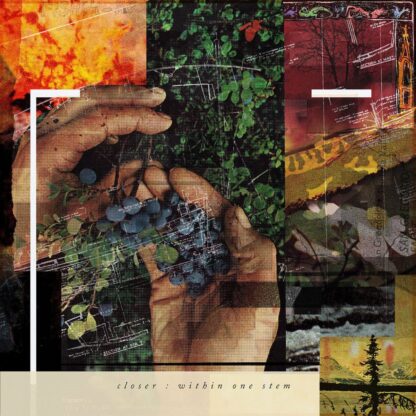 A collage from the Closer "Within One Stem" LP features hands holding a cluster of blue grapes, layered with various textures, botanical elements, architectural blueprints, and a sunset image. Text at the bottom reads "closer - within one stem".