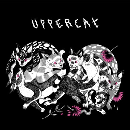 Cover of the Radical Kitten "Uppercat" LP showing a graphic of stylized cats with spots and stripes, featuring magenta eyes and flowers on a black background. "UPPERCAT" appears above in a distorted font.